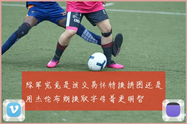 绿军究竟是该交易怀特换拼图还是用杰伦布朗换取字母哥更明智