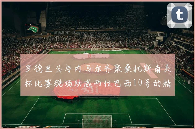 罗德里戈与内马尔齐聚桑托斯南美杯比赛现场助威两位巴西10号的精彩时刻